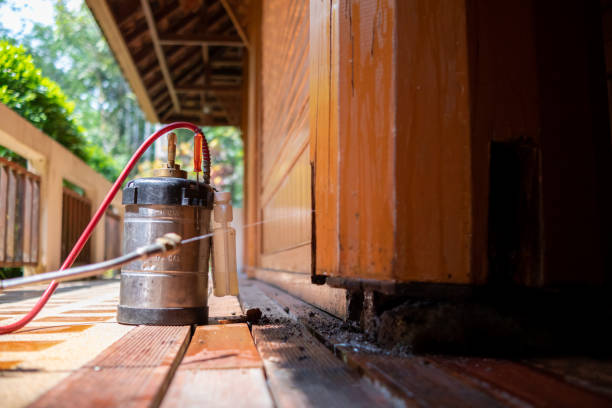 Best Best Pest Control Companies  in Monticello, MS