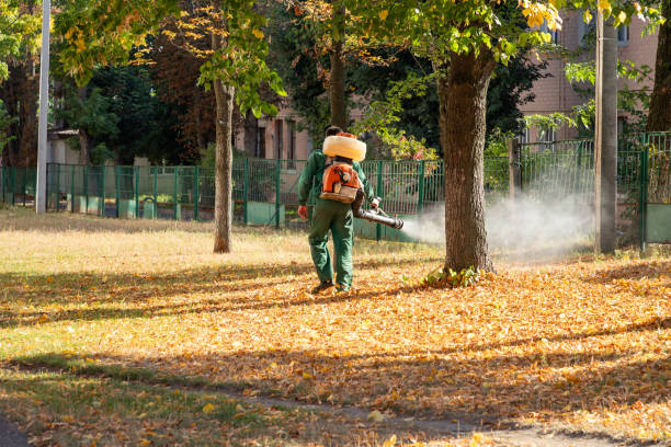 Best Best Pest Control Companies  in Monticello, MS
